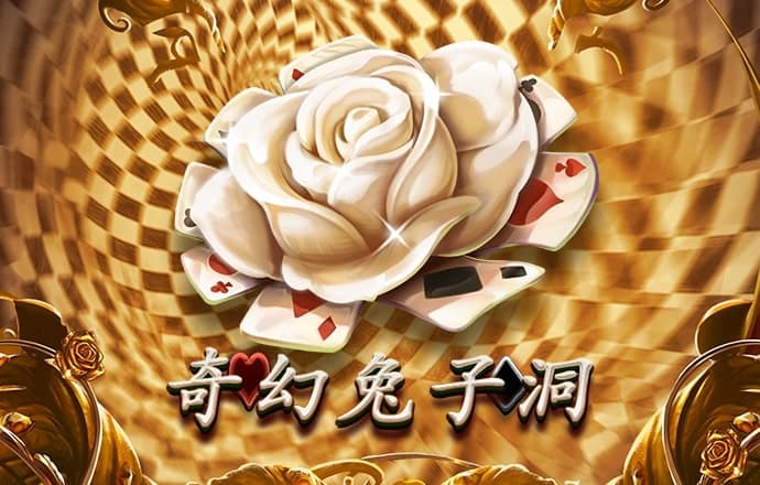 pg电子最新网站入口